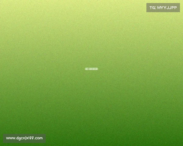 十六 赛事显示系统